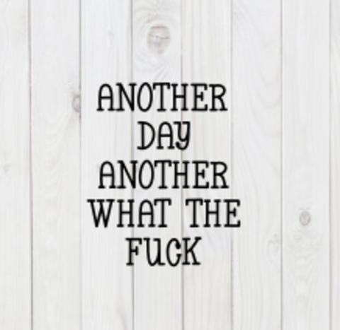 Another Day, Another What The F*ck, SVG File, png, dxf, digital download, cricut cut file