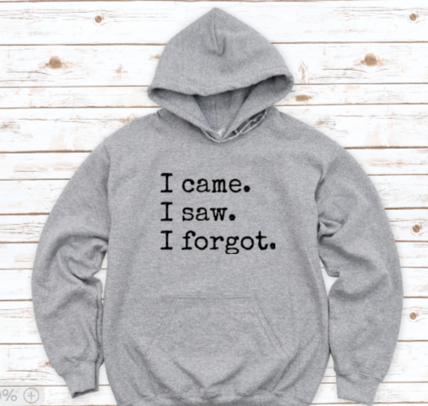 I Came, I Saw, I Forgot, Men's and Women's Gray, Unisex Hoodie Sweatshirt