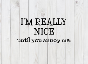 I'm Really Nice, Until You Annoy Me, Funny SVG File, png, dxf, digital download, cricut cut file
