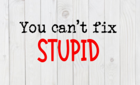 You Can't Fix Stupid, SVG File, png, dxf, digital download, cricut cut file
