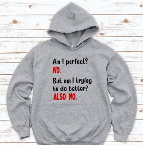 Am I Perfect, No, Am I Trying To Do Better, Also No, Gray Unisex Hoodie Sweatshirt